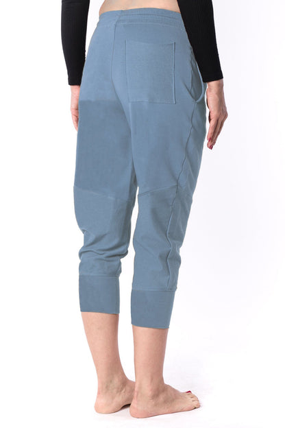 The Woman Paneled Jogger 17 // blue