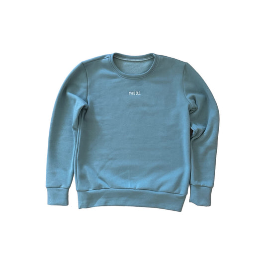 The Man Pullover °2 // lightgreen